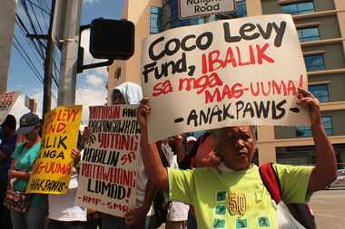 COCO FUND. Farmers under the Kilusang Magbubukid sa Pilipinas- Davao City demand that the government give back the coco-levy funds to farmer-investors in time for the commemoration of the peasants’ month. (davaotoday.com photo by Ace R. Morandante)