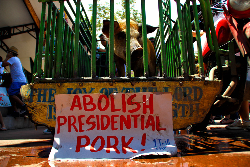 A real pig gets locked up during Monday’s Million People March to symbolize the people’s rage against the pork barrel system or Priority Development Assistance Fund (PDAF) of Congress which has been exposed to cases of corruption.  (davaotoday.com photo by Jandy Ken Lizondra)
