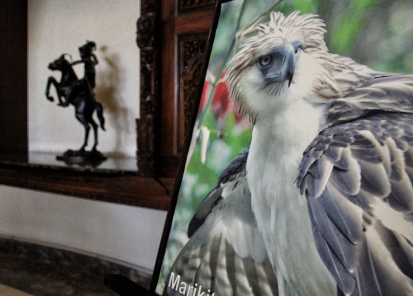 A painting of the Philippine Eagle Pag-asa is on display at the lobby of Marco Polo Hotel Davao.  This is part of an exhibit of Philippine Eagle portraits in support for the Philippine Eagle Foundation which takes care of the eagles bred in captivity after threats of being hunted (davaotoday.com photo by Medel V. Hernani)