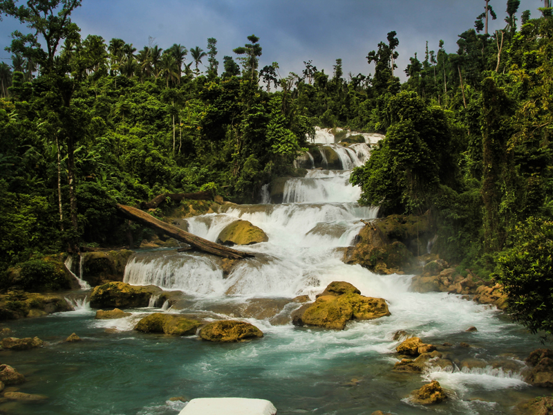 BEAUTY RESTORED Aliwagwag Falls in Cateel, Davao Oriental, slowly regains her beauty and waters after suffering from the impact of Typhoon Pablo a year ago. (davaotoday.com photo by Ace R. Morandante)