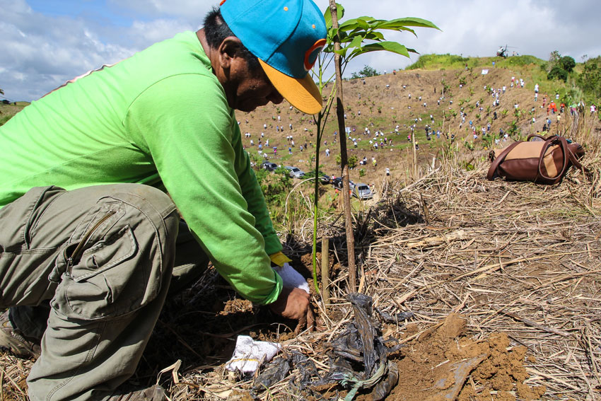 National Greening program hosted by the Department of Environment and Natural Resource (DENR) and Mindanao Development Authority (MinDA) to come up to the Guinnes book of world record. They target 4.6 million planted tree in Six regions in Mindanao.