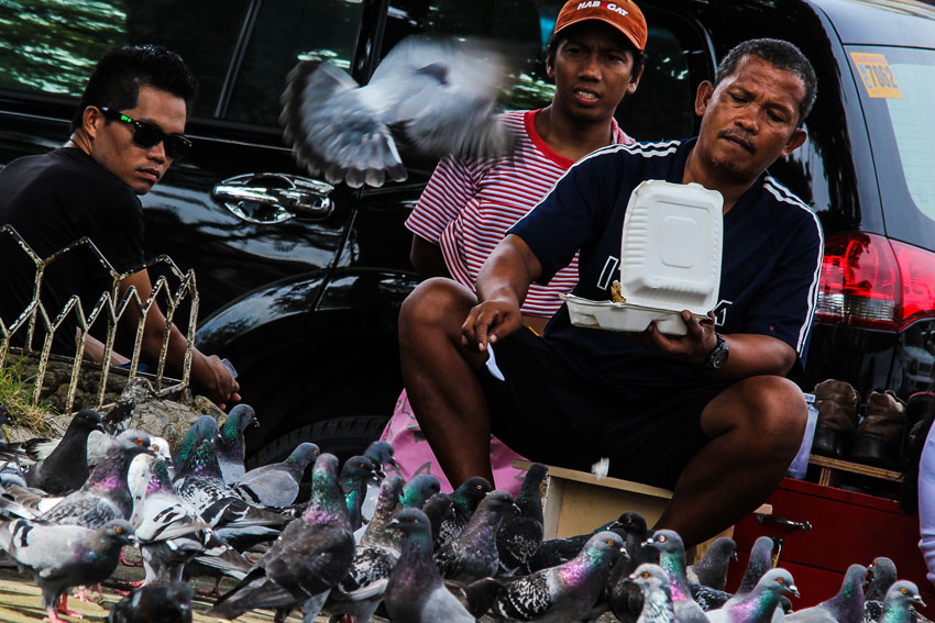 FEEDING. After his lunch, the shoe shine worker along at the Rizal Park throws the leftover to the doves to feed them.