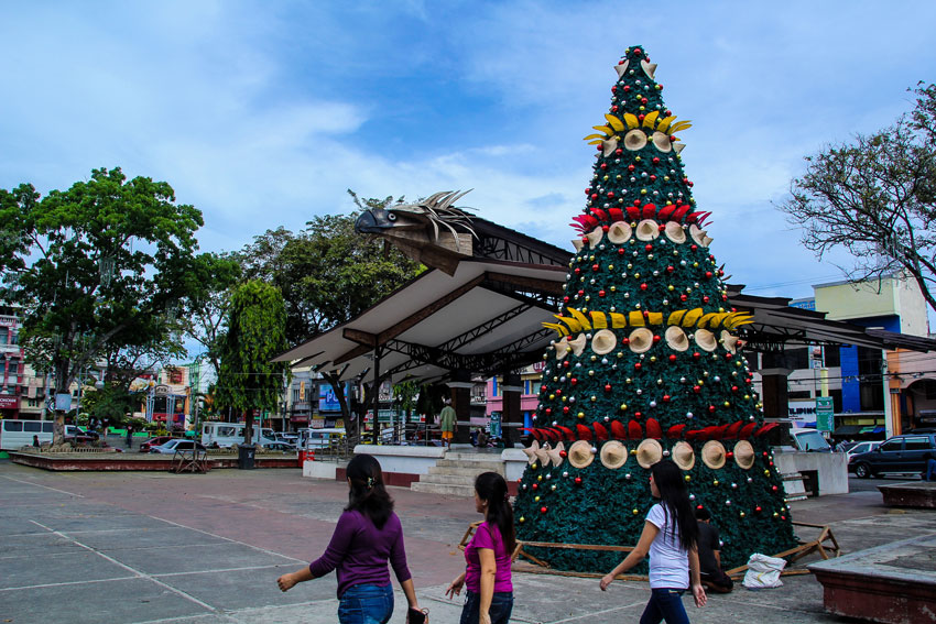 The local government has put up a 35-foot Christmas tree at the center of Rizal Park along San Pedro street giving the passers-by a delightful view. (Ace R. Morandante/davaotoday.com)