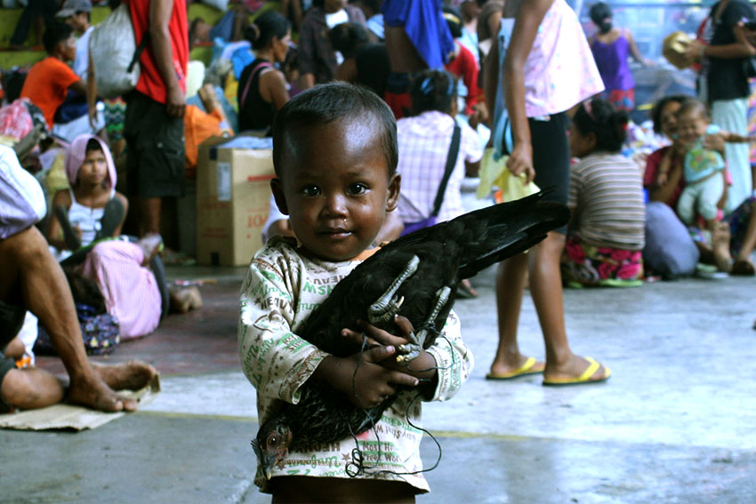  A lumad boy plays around Buhangin Gym with this chicken while the elders start packing up. The lumads who visited the city will be leaving this Friday. (Johannes Garado Realista/davaotoday.com)