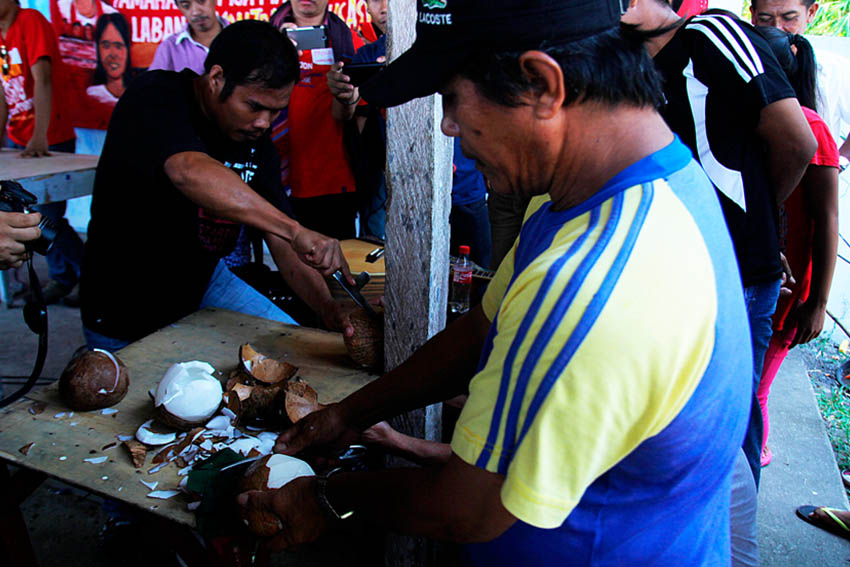 A member of Sama-Ako, an organization of workers in Franklin Baker, demonstrates how they peel the coconut using bare hands during the solidarity visit of other labor groups to the striking workers of the dessicated coconut company in Sta. Cruz. (Ace R. Morandante/davaotoday.com)