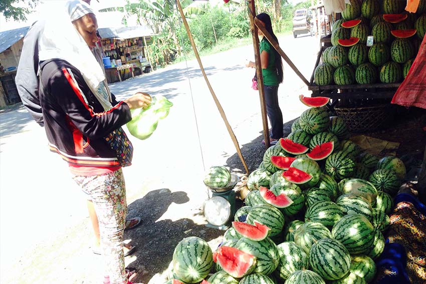 A customer buys watermelon along the highway in Pigcayawan, North Cotabato on a Sunday morning. This summer fruit is sold at P15 to P20 a kilo. The trader here said they got their supply from farms in Brgy. Manwangan. (Zea Io Ming C. Capistrano/davaotoday.com)