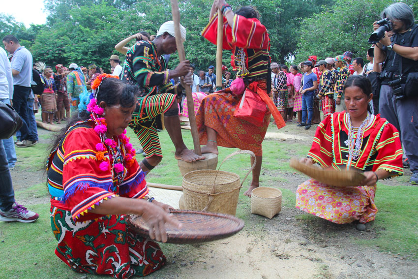 BIBINAYU. Bibinayu is the manual threshing done to remove the hull from rice or corn grains.