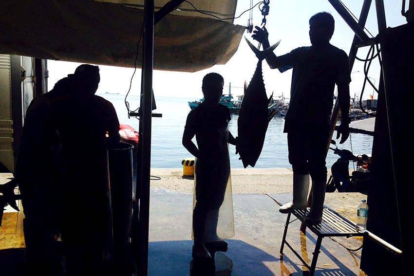 Weighers (locally referred to as scalers) in the Market 1 of the port of General Santos weigh at least 90 tons of fresh tuna daily. General Santos City has been touted as the tuna capital in the country. (Zea Io Ming C. Capistrano/davaotoday.com)