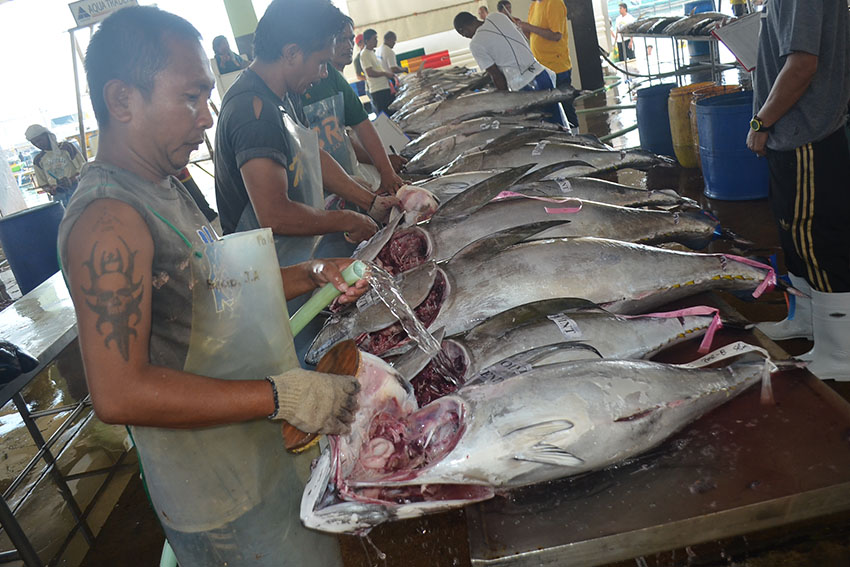 40-year old Junjun Abranilla has been working as a laborer for eight years inside the General Santos Fish Port Complex. Here he is cleaning tunas for the Japanese firm, Ten Point Manufacturing Corporation. (Zea Io Ming C. Capistrano/davaotoday.com)