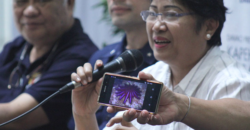 Fatima Idris, regional director of Bureau of Fisheries and Aquatic Resources (BFAR XI) shows to the members of the press what the Crown-of-Thorns starfish looks like. Idris said they are focused on the elimination of the said species, locally called as Dap-ag, on the upcoming coastal cleanup on Saturday as it causes destruction of coral reefs.(Ace R. Morandante/davaotoday.com)