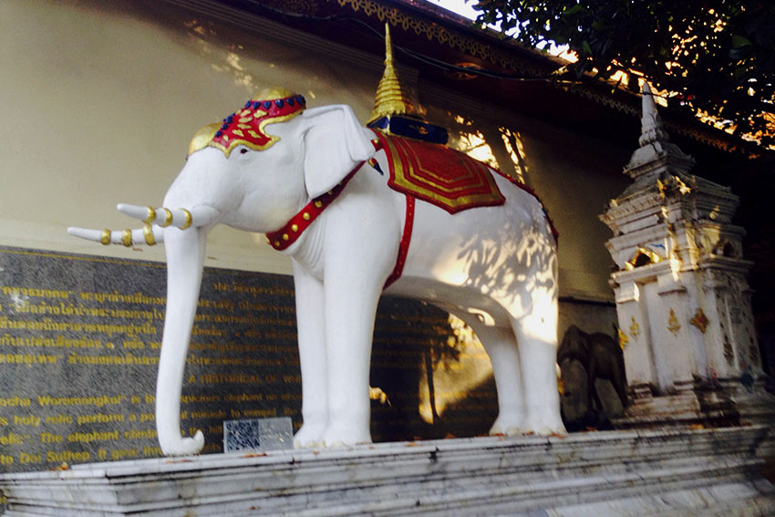 WHITE ELEPHANT. This statue of the White Elephant can be seen outside the temple. According to a famous legend, the sacred white elephant took the original part of a magical relic to this mountain as a sign that this is where the new temple should be built. 