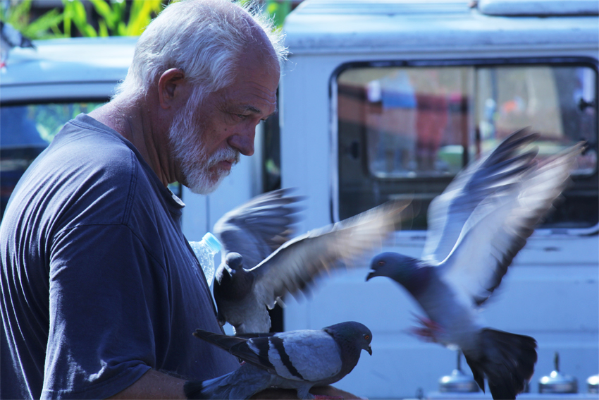 Doves perch on the hands of a foreigner at Rizal Park, on Tuesday noon, March 15.(Ace R. Morandante/davaotoday.com)