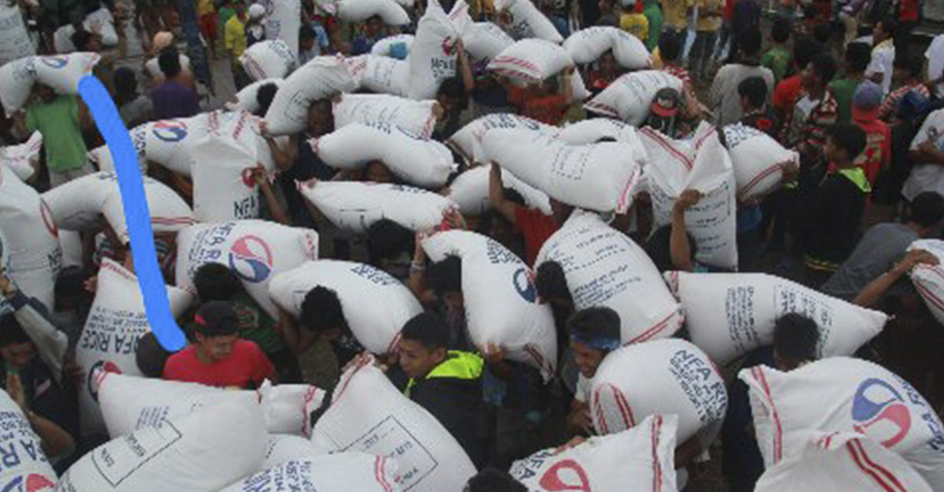 PARTIAL VICTORY. The Department of Social Welfare and Development gives 2,000 sacks of rice to struggling farmers in Koronadal City on Monday, April 25. (Ace R. Morandante/davaotoday.com)