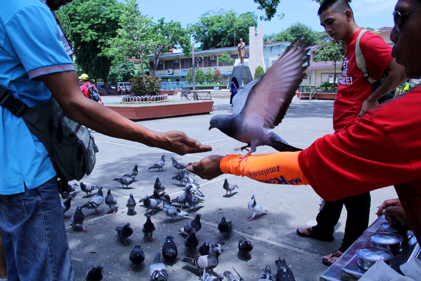 Passersby at the Rizal Park stop for a moment to feed the doves. (Ace R. Morandante/davaotoday.com)