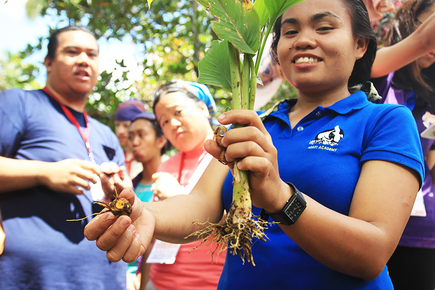 TRADITIONAL CURE. Leah, a teacher from Mindanao Interfaith Services Foundation Incorporated (MISFI) holding a turmeric plant, which is cultivated and used by the community as a remedy for common colds and other flu-like sickness. 