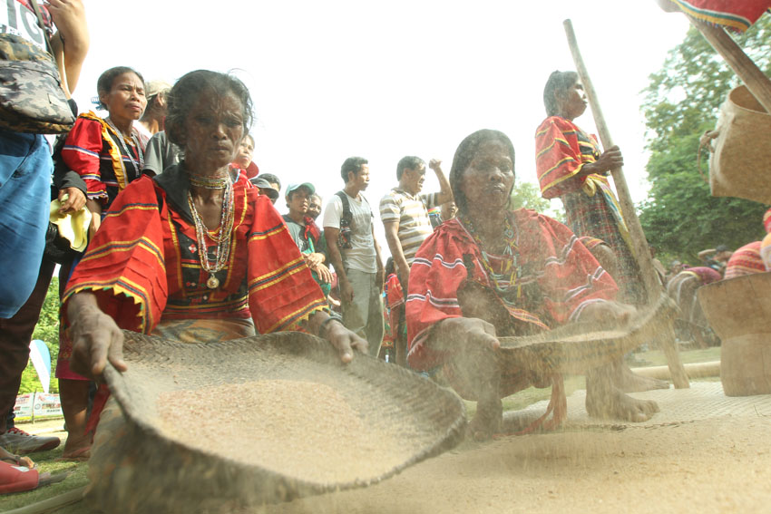 Matigsalug women hurry in sifting rice from the chaff during the "Bibinayo", a traditional rice pounding, which was part of the tribal games during the  Lumadnong Dula held at the People's Park in Davao City on Thursday, August 18. (Zea Io Ming C. Capistrano/davaotoday.com)