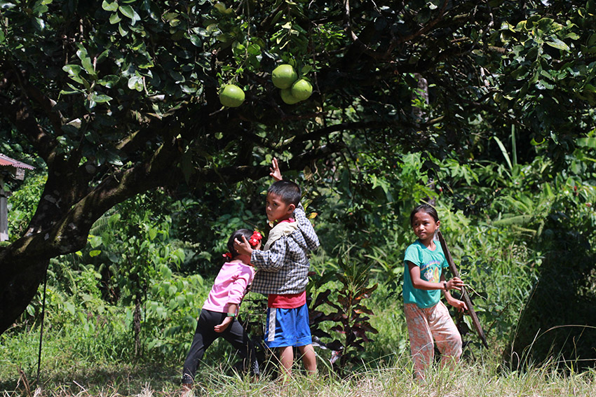 AT HOME. Kids play around and bring  fresh fruits which they found around the community of Sitio Han-ayan in Barangay Diatagon, Surigao del Sur province. (Paulo C. Rizal/davaotoday.com)