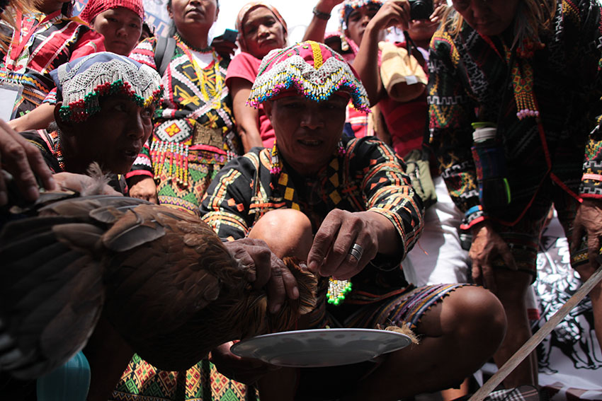Leaders of various Lumad groups performed a ritual to denounce the National Commission of Indigenous Peoples during Monday’s protest rally in Quezon City. (Paulo C. Rizal/davaotoday.com)