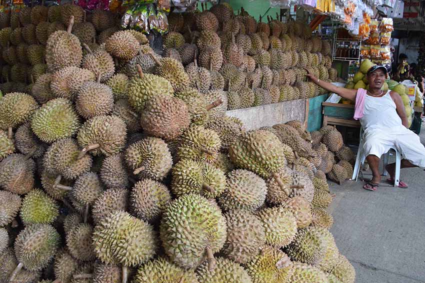 A 45-year-old fruit vendor, Alan Coquilla, tends to his durian display at the Bangkerohan public market in Davao City. He has been selling fruits for 13 years where he gets the income to send his five children to school. (Medel V. Hernani/davaotoday.com)