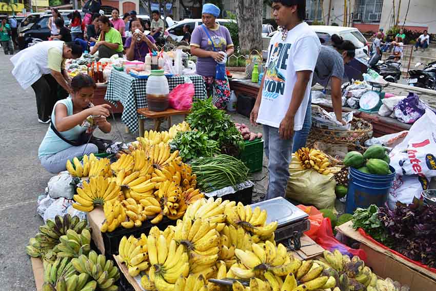 Farmers in Davao City sell various organic fruits, vegetables and seedlings at Rizal Park market, Oct. 14, Friday Afternoon. (Medel V. Hernani/davaotoday.com)