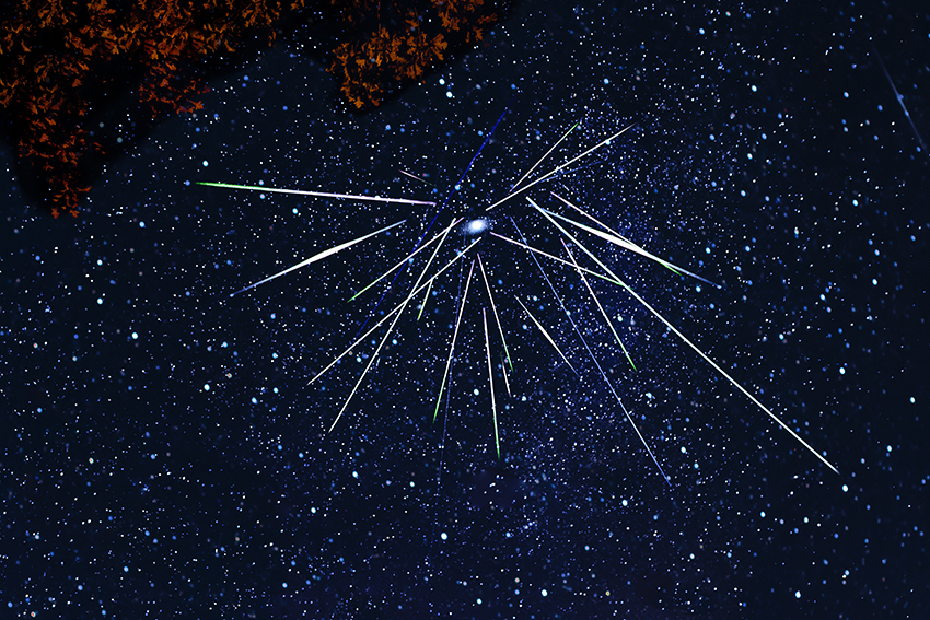 [Persed Meteor Shower by Jelieta Walinski, PhD]