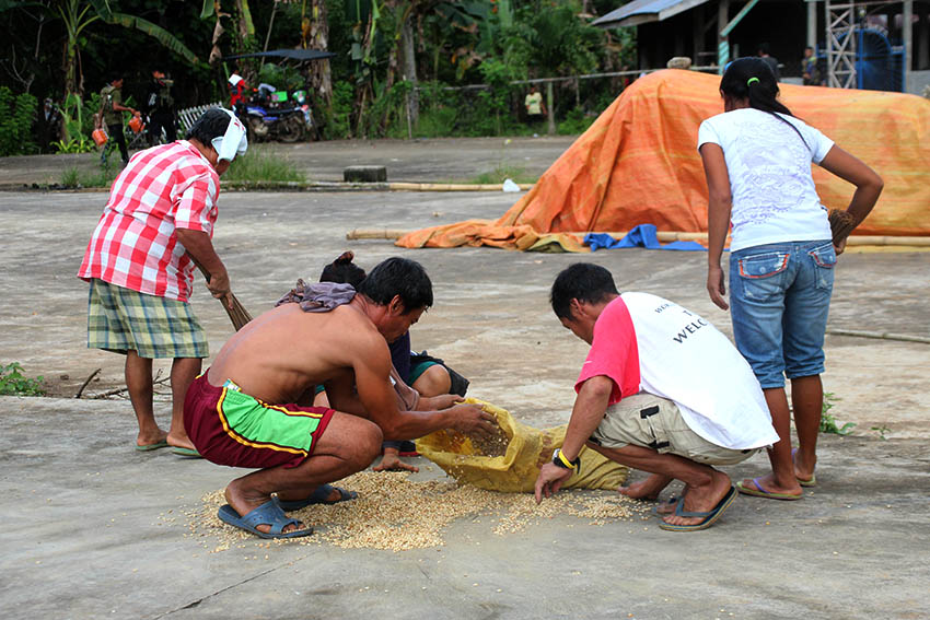 Farmers hastily put away their grain to keep them from being wet moments after a slight drizzle started to pour in Barangay Makopa, Laak, Compostela Valley on Tuesday, Jan. 10. (Paulo C. Rizal/davaotoday.com) 