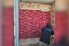 BOC-10 seizes P20-M smuggled onions from China