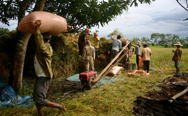 Groups demand AFP, PNP to drop “trumped-up charges” vs agriculturist