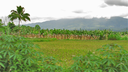 Banana packing plant workers hit non-payment of overtime work