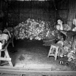 WHILE THEY WERE WAITING. Coconut and banana vendors take a rest while they wait for customers in Pantukan town, Compostela Valley. (davaotoday.com photo by Ace R. Morandante)