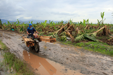 Typhoon Pablo survivors plant 1, 500 trees to nourish Pablo-ravaged communities
