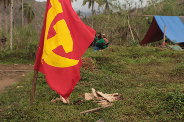 2 NPAs killed in Davao del Norte clash, says Army