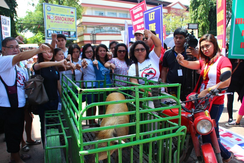 Pig joins Davao anti-pork marchers