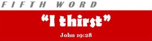 Read more about the article Seven Last Words – Fifth Word