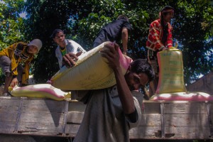 Read more about the article TAKE HOME RICE