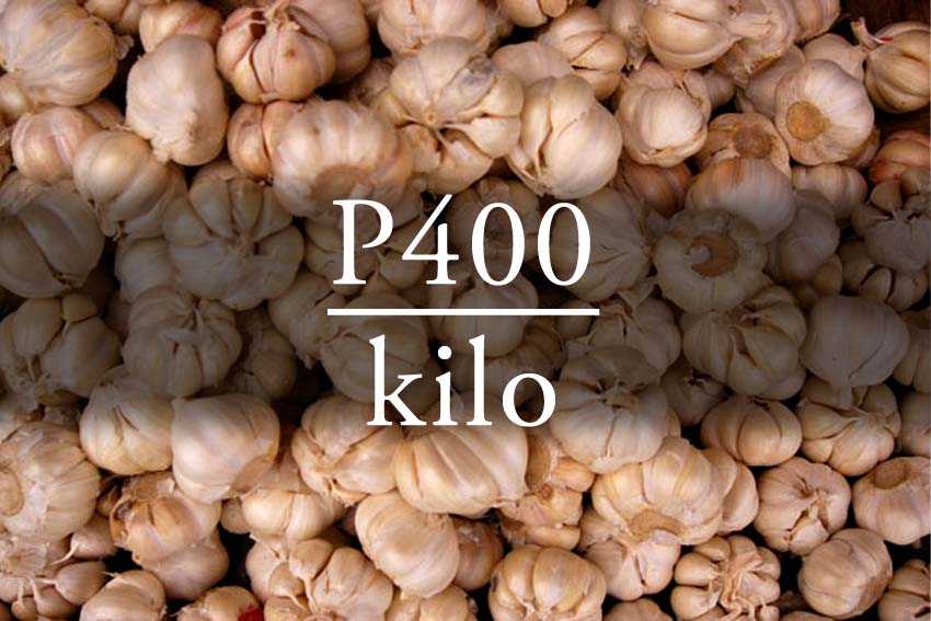 PUNGENT ECONOMY: GARLIC INDUSTRY AND THE LACK OF SUSTAINABILITY
