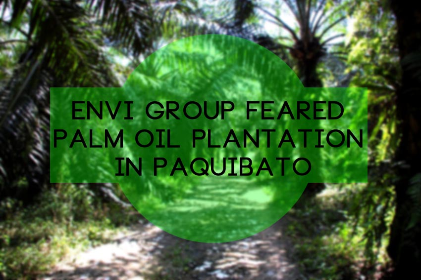 Pollution, food and water scarcity in oil palm feared