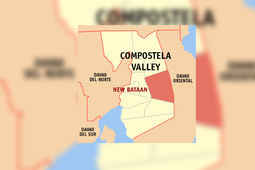 AFP orders probe on killing of father and son in Compostela Valley