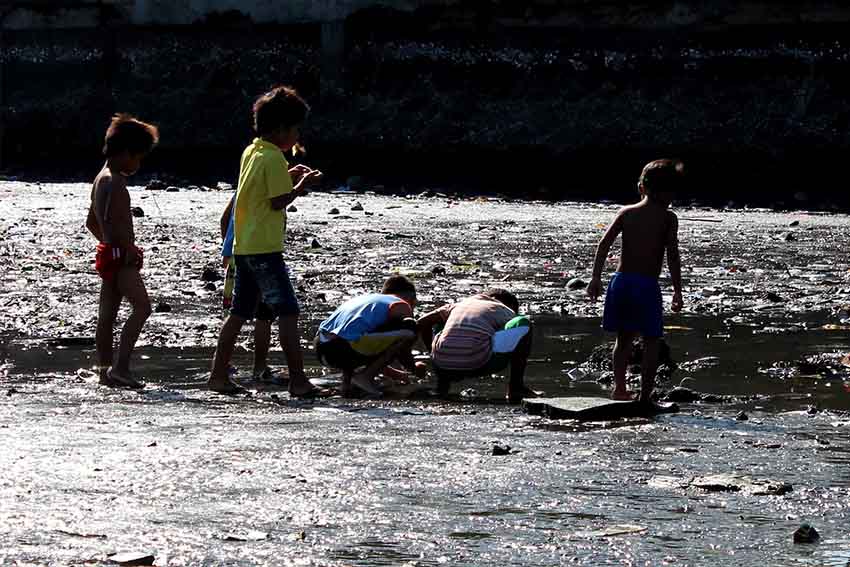 Read more about the article SEA SCAVENGER