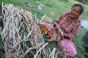 Read more about the article TRIBAL WEAVER