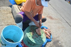 Read more about the article DAYOK MAKER
