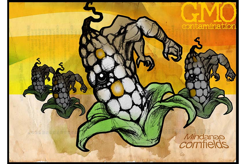 You are currently viewing GMO Contamination