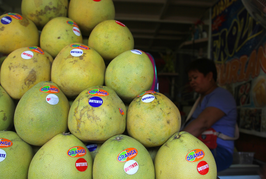You are currently viewing POMELO