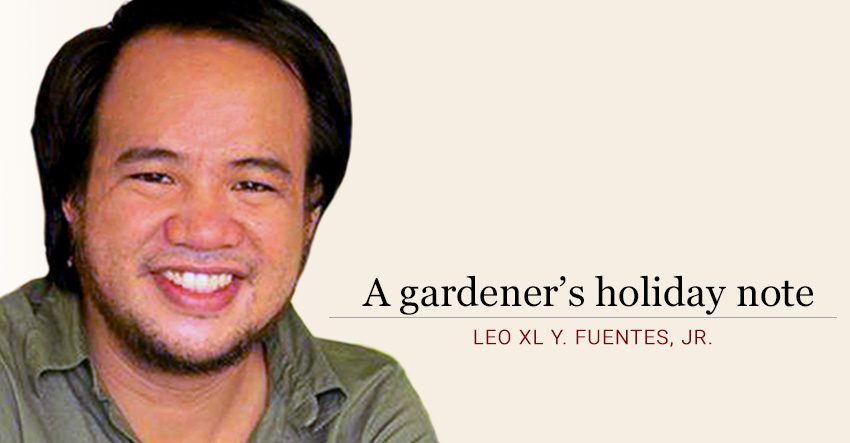 You are currently viewing A gardener’s holiday note