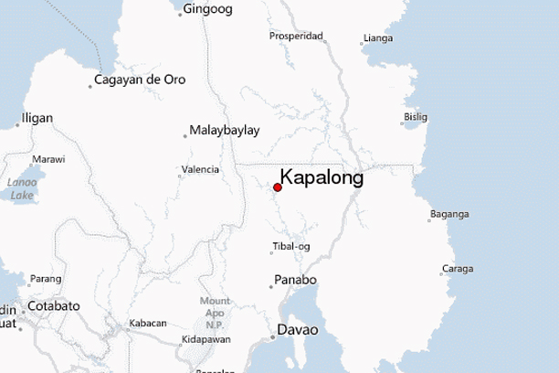 Ex-cop killed in Kapalong raid, firearms seized     