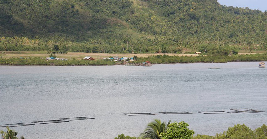 You are currently viewing Piñol vows to make Samar province competitive
