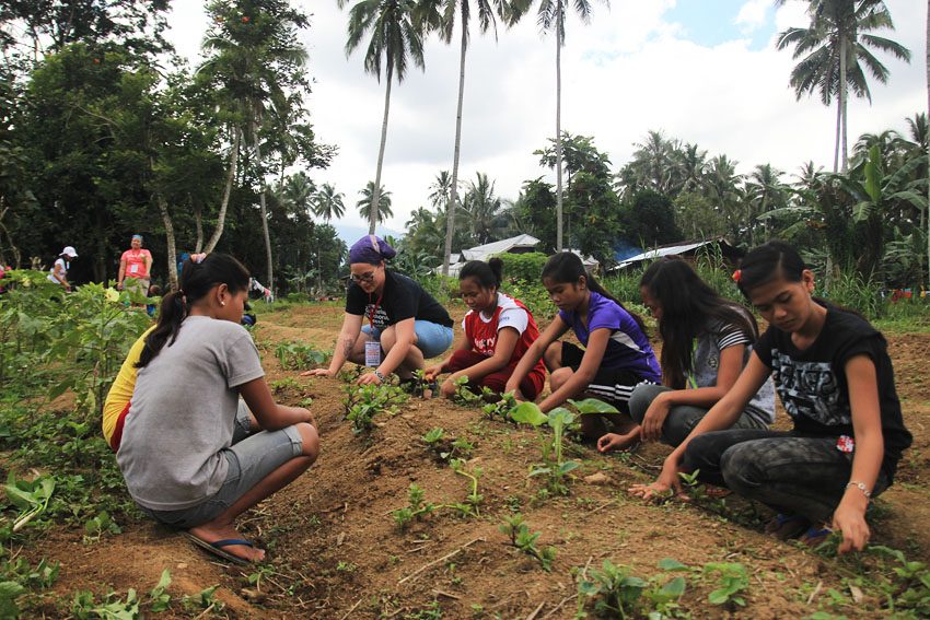 VEGETABLE GARDEN