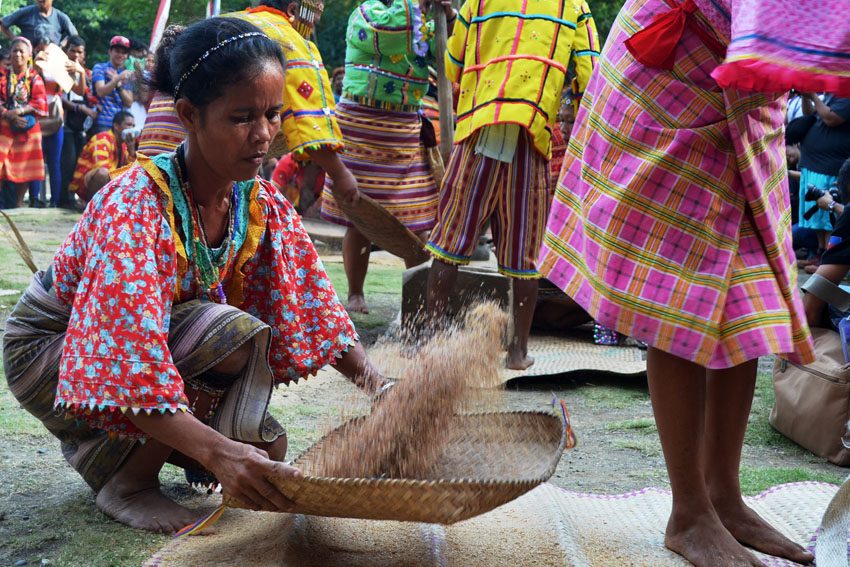 PHOTOS | Bibinayo: traditional rice pounding