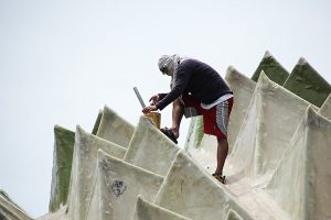 Read more about the article DURIAN DOME