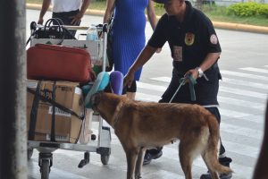 Read more about the article Cagayan de Oro on full alert against terror attacks